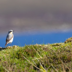 Camping Holiday to the Outer Hebrides