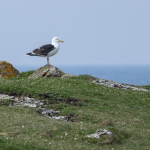 Camping Holiday to the Outer Hebrides