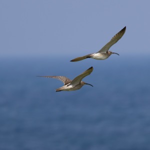 Camping Holiday to the Outer Hebrides