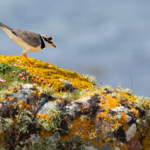 Camping Holiday to the Outer Hebrides
