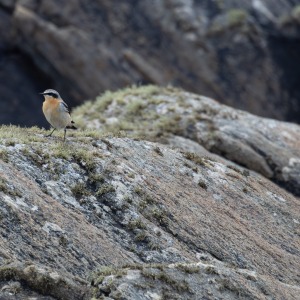 Camping Holiday to the Outer Hebrides