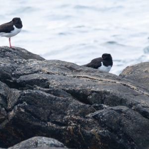 Camping Holiday to the Outer Hebrides