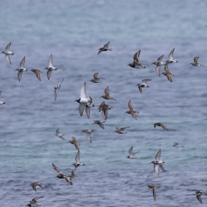 Camping Holiday to the Outer Hebrides
