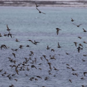 Camping Holiday to the Outer Hebrides