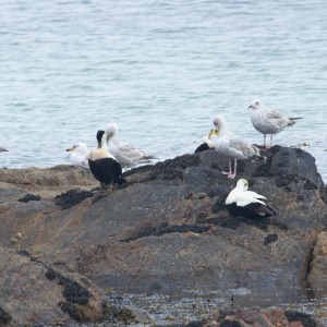 Camping Holiday to the Outer Hebrides