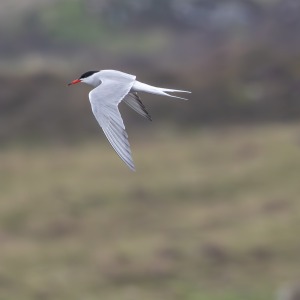 Camping Holiday to the Outer Hebrides