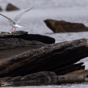 Camping Holiday to the Outer Hebrides