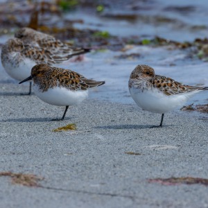 Camping Holiday to the Outer Hebrides