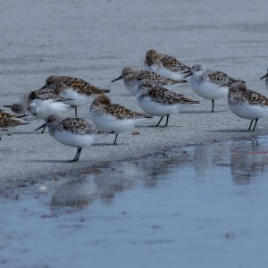 Camping Holiday to the Outer Hebrides