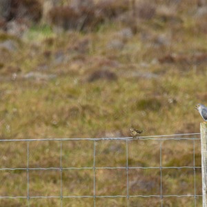 Camping Holiday to the Outer Hebrides