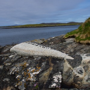 Camping Holiday to the Outer Hebrides