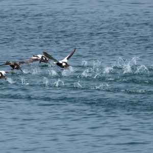 Camping Holiday to the Outer Hebrides