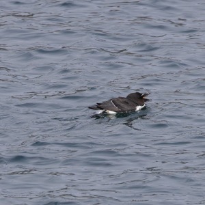 Camping Holiday to the Outer Hebrides