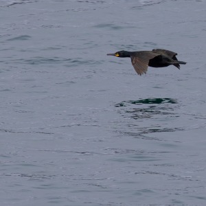 Camping Holiday to the Outer Hebrides