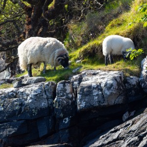 Camping Holiday to the Outer Hebrides