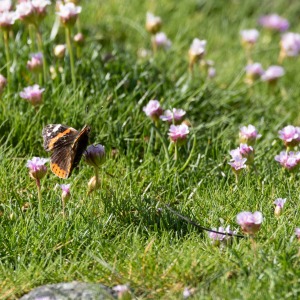 Camping Holiday to the Outer Hebrides