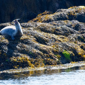 Camping Holiday to the Outer Hebrides
