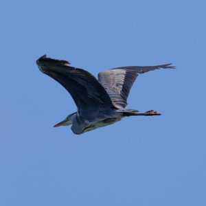 Camping Holiday to the Outer Hebrides