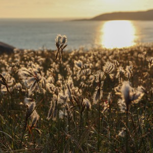 Camping Holiday to the Outer Hebrides