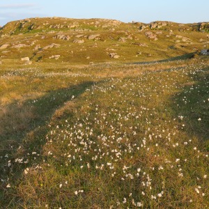 Camping Holiday to the Outer Hebrides
