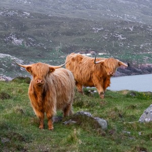 Camping Holiday to the Outer Hebrides