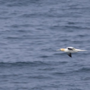 Camping Holiday to the Outer Hebrides