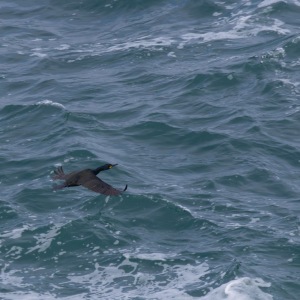 Camping Holiday to the Outer Hebrides