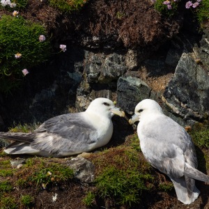 Camping Holiday to the Outer Hebrides