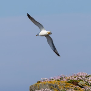Camping Holiday to the Outer Hebrides