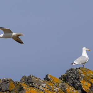 Camping Holiday to the Outer Hebrides