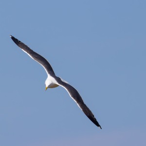 Camping Holiday to the Outer Hebrides