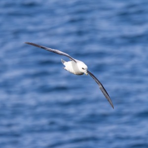 Camping Holiday to the Outer Hebrides