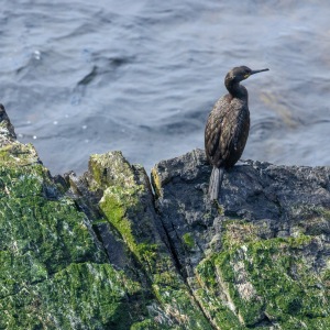 Camping Holiday to the Outer Hebrides