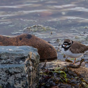 Camping Holiday to the Outer Hebrides