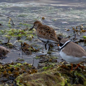 Camping Holiday to the Outer Hebrides