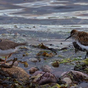 Camping Holiday to the Outer Hebrides