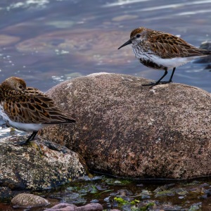 Camping Holiday to the Outer Hebrides