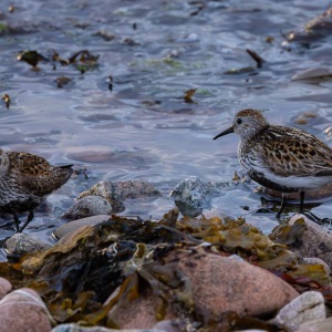 Camping Holiday to the Outer Hebrides