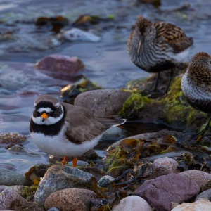 Camping Holiday to the Outer Hebrides