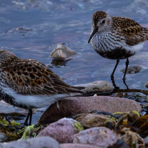 Camping Holiday to the Outer Hebrides