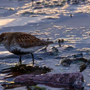 Camping Holiday to the Outer Hebrides