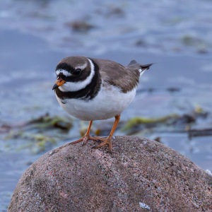 Camping Holiday to the Outer Hebrides