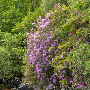 Camping Holiday to the Outer Hebrides