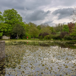 National Trust  -  Sizergh