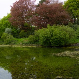 National Trust  -  Sizergh