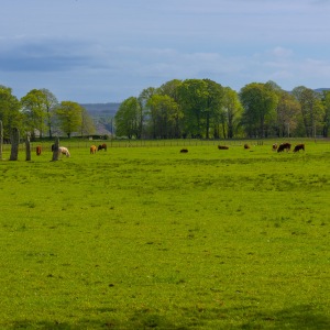 Camping Holiday to the Outer Hebrides