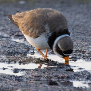 Camping Holiday to the Outer Hebrides
