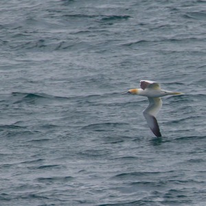 Outer Hebrides - Barra