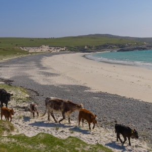 Camping Holiday to the Outer Hebrides