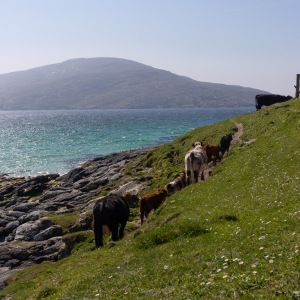 Camping Holiday to the Outer Hebrides